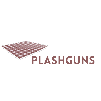 www.summersplashguns.com